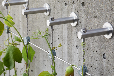 Trellis Systems